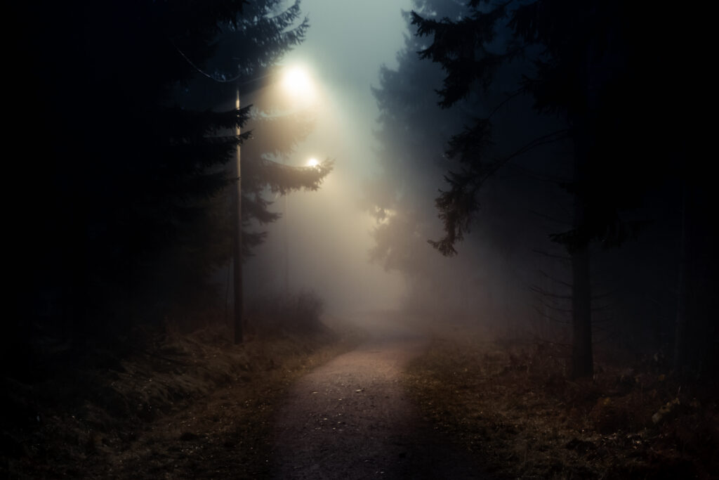 Dirt road in a dark and foggy forest